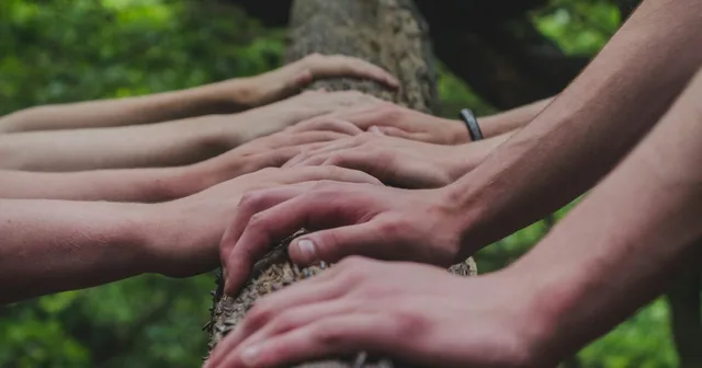 Many different people’s hands on a log